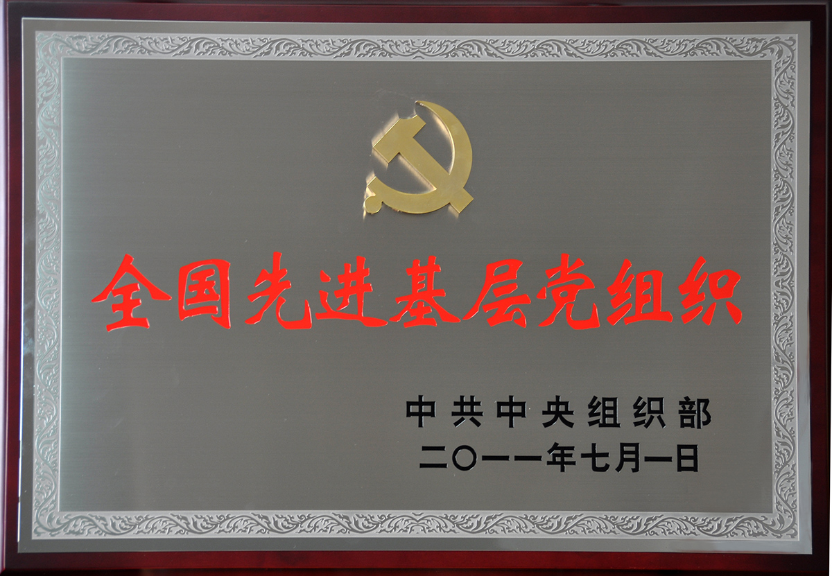 2011年7月，永乐高集团党委荣获“全国先进基层党组织”称号